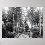 In A Rut: 1902 Print