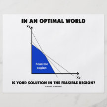 In An Optimal World Is Your Solution Feasible? Custom Flyer