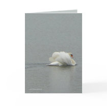 In Beauty Greeting Cards