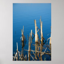 in blue water