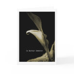 in deepest sympathy cards