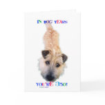 In Dog Years You're 350 cards