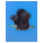 'In Flight' flyers