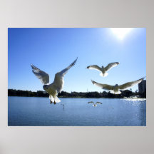 In Flight Print