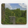 In Ireland, at Blarney Castle a stone tower in