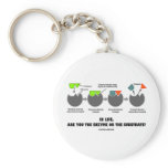 In Life, Are You The Enzyme Or The Substrate? Key Chain
