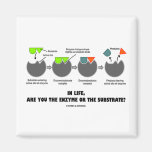 In Life, Are You The Enzyme Or The Substrate? Magnet