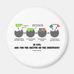 In Life, Are You The Enzyme Or The Substrate? Magnet