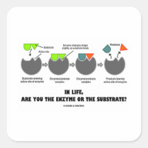 In Life, Are You The Enzyme Or The Substrate? Square Sticker