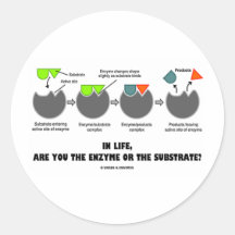 In Life, Are You The Enzyme Or The Substrate? Sticker