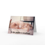 "In life, position is everything!" Greeting Cards