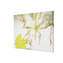 In My Garden, Embossed Gourd Flower Canvas Prints