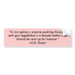 "In my opinion, anyone pushing through anti-gun... bumper stickers