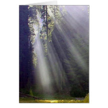In My Prayers Greeting Cards