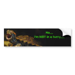 "In No Hurry" Turtle Bumper Sticker