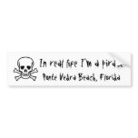In real life I'm a pirate, Ponte Vedra Beach, FL bumper stickers
