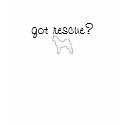 In rescue, I lost my mind, but found....." t-shirts
