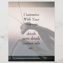 In Silhouette - Praying Mantis Full Color Flyer