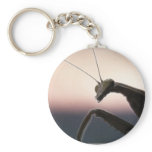 In Silhouette - Praying Mantis keychains