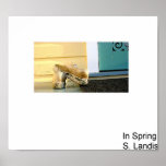 In Spring posters