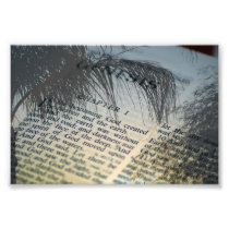 In The Beginning Photo Print