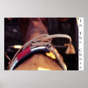 In The Chute posters