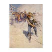In the Corral by NC Wyeth Postcards