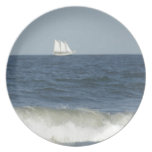 In the Distance Plate