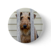 "In the Doghouse"