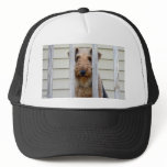 "In the Doghouse" hats