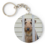 "In the Doghouse" keychains