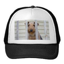 "In the Doghouse" Mesh Hat