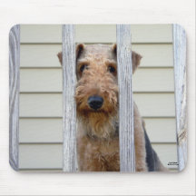 "In the Doghouse" Mousemat