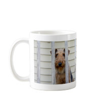 "In the Doghouse" Mugs