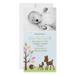 "In the forest"  Birth Announcements photo cards