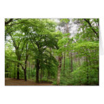 In the Forrest Greeting Card