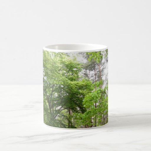 In the Forrest Mugs