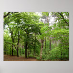 In the Forrest Poster