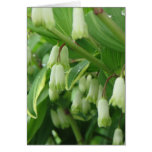 In The Garden Cards