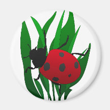 In the garden fridge magnet