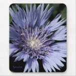 In the Garden Mousepad