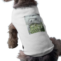 In the Garden - Quan Yin & Flowers Dog Clothes