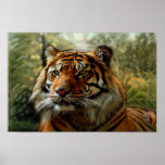 In The Jungle Poster