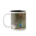 In the mood for love mugs