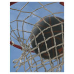 In the Net Flyer