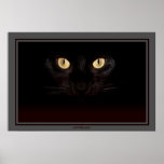 In the Shadows posters