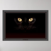 In the Shadows Posters
