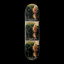 IN THE SHADOWS skateboards