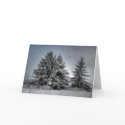 In The Spirit OF winter cards