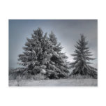In The Spirit OF winter Postcard